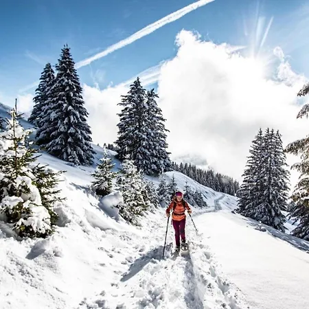 Apartment Alpenlake Ap117 & View 6 Pers Chatel